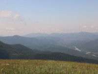 05.JPG