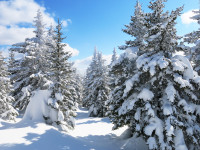 0_bcc7b_1a6529b7_XXXL.jpg