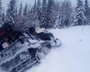 STELS 600 VIKING