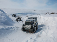 1Z5A1558-768x512.jpg