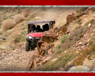 Honda Pioneer 1000