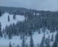 Polaris Snowmobiles 2017