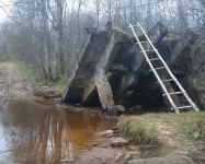 ATV. Синявинские болота. Октябрь 2016 г