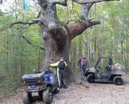 Polaris Ranger 570. Финал теста