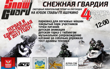 "СНЕЖНАЯ ГВАРДИЯ" 2017