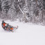 800 SWITCHBACK ASSAULT 144 2017