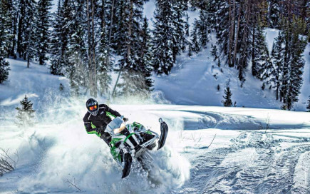 Arctic Cat 2016
