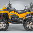 STELS ATV 650 GUEPARD Trophy