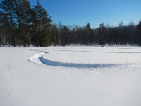 DSCN0364.jpg
