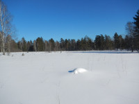 DSCN0365.jpg
