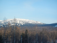 DSCN0399.jpg