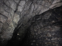 DSCN1649.jpg