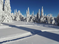 IMG-20151120-WA0031.jpg