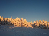 IMG-20151120-WA0033.jpg
