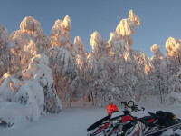 IMG-20151120-WA0036.jpg