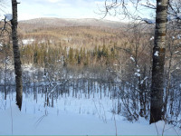 IMG-20151122-WA0019.jpg