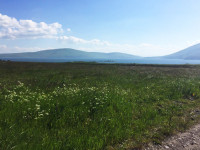 IMG-20160627-WA0103.jpg