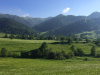 IMG-20160627-WA0218.jpg