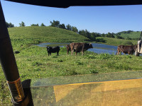 IMG-20160627-WA0219.jpg