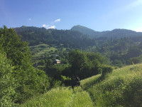 IMG-20160627-WA0224.jpg