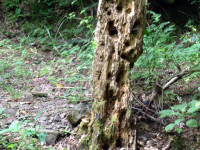 IMG-20160720-WA0024.jpg