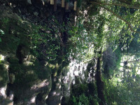 IMG-20160720-WA0039.jpg