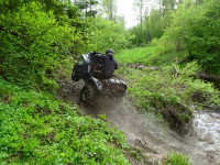 IMG_1712.jpg