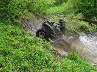 IMG_1714.jpg