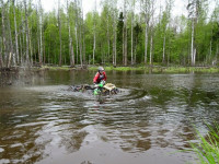 IMG_1738.jpg