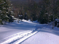 IMG_2760.JPG