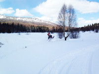 IMG_2784.JPG