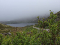 IMG_3475.JPG