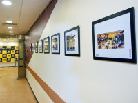 IMG_4617.jpg