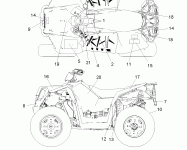 BODY, DECALS