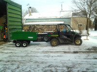 buggy_and_trailer1.jpg