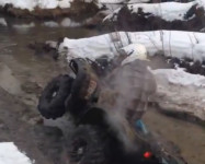 Заплыв в стиле Червя.