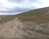 Видео с поездки по Алтаю