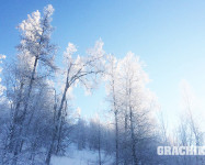 Уральские горы и наши друзья