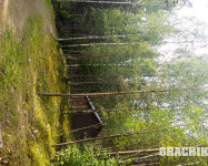 Прекрасная Карелия