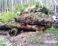Прекрасная Карелия