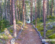 Прекрасная Карелия