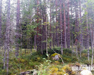 Прекрасная Карелия