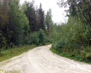 Прекрасная Карелия