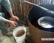 Прекрасная Карелия
