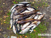 grachikoff-club-karelia2016-850-531-183.jpg