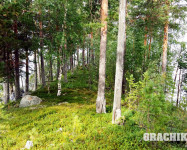 Прекрасная Карелия