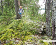 Прекрасная Карелия