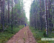 Прекрасная Карелия