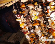 Прекрасная Карелия
