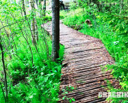 Карельский отдых. Часть 2